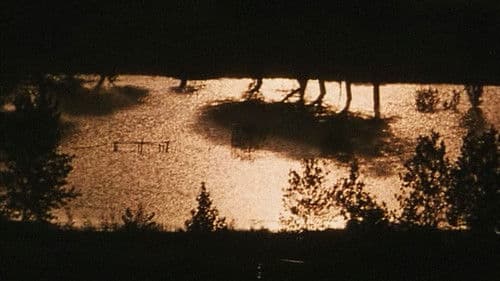 Voci nel tempo Bild 5