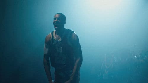 Shooting Stars Bild 7