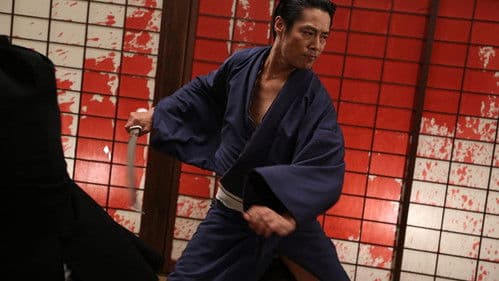 Why Don't You Play in Hell? Bild 8