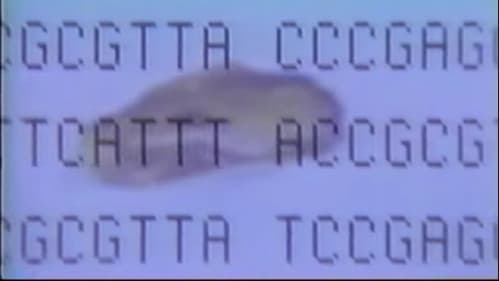 The Real Jurassic Park Bild 2