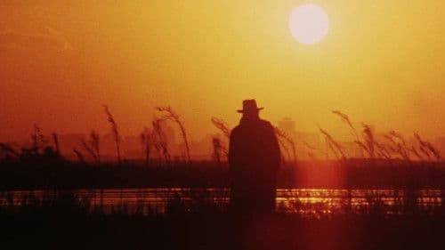 狼やくざ　殺しは俺がやる Bild 2