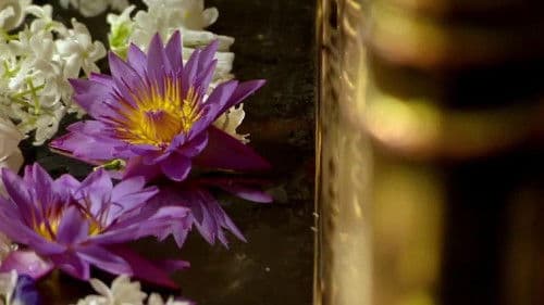 Seven Wonders of the Buddhist World Bild 1