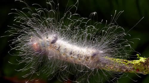 Learning To See Bild 1