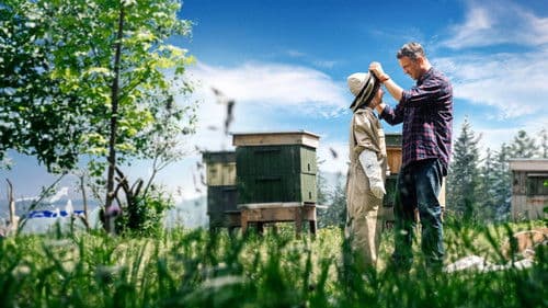 Miłość jak miód Bild 1