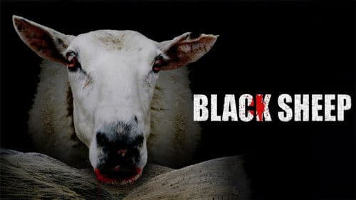 Black Sheep Bild 4