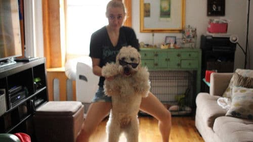 The Egos: A New York City Comedy Bild 5