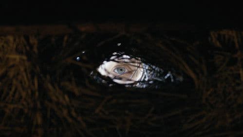 Shaman - The Final Exorcism Bild 5