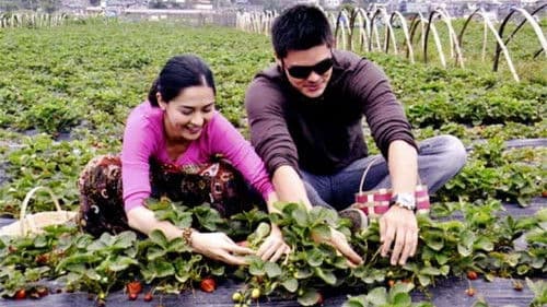 You to Me Are Everything Bild 1