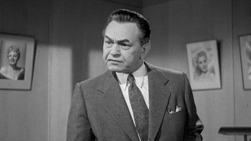 Das gläserne Netz Bild 4