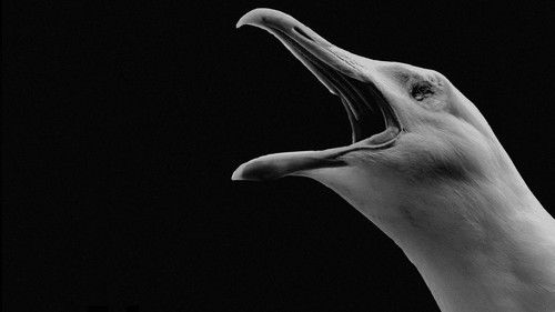 The Lighthouse: A Dark & Stormy Tale Bild 1