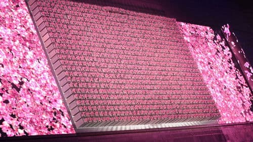 2008年第29届北京奥运会开幕式 Bild 4