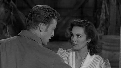 Der schwarze Mustang Bild 4