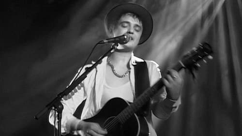 Peter Doherty: Stranger In My Own Skin Bild 2