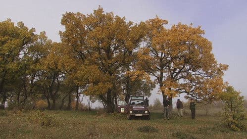 Přežili rok 2000 Bild 1