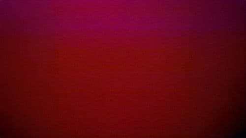 Lights Gone Out Bild 1