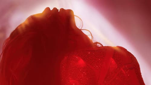 Renaissance: A Film by Beyoncé Bild 1