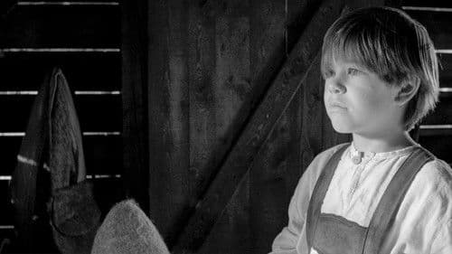 Kdo se boji črnega moža? Bild 8