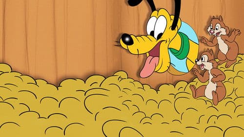 Kampf um jede Nuß Bild 3