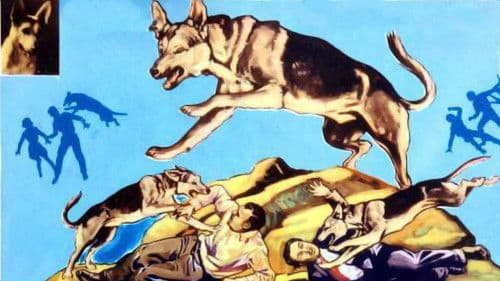 Inside Information Bild 1