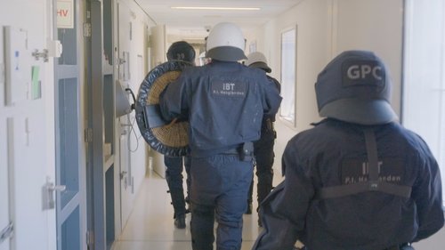 P.I. Haaglanden Bild 1