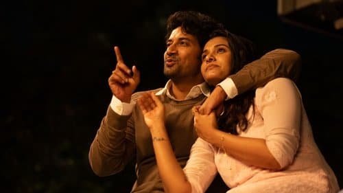 జీబ్రా Bild 1