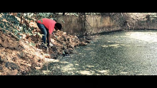 Eighth Hill - A Sacred Revolution: Tirupati's Dream without Plastic Bild 5