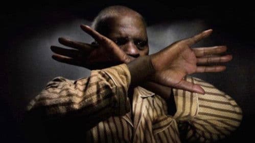 Cavalo Dinheiro Bild 2