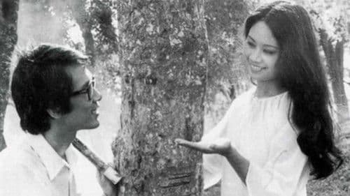 Thị xã trong tầm tay Bild 1