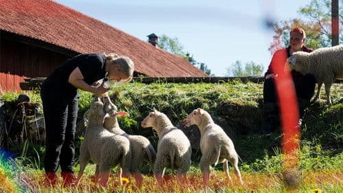 Svenska bönder Bild 1
