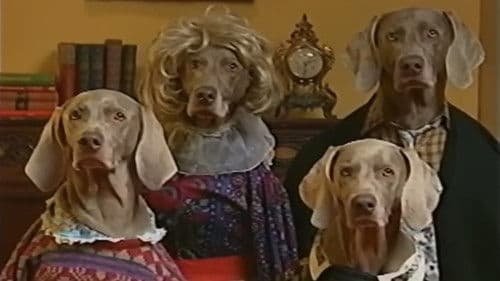 Fay's 12 Days of Christmas Bild 2