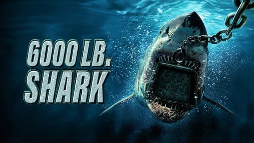6000-LB. Shark Bild 1
