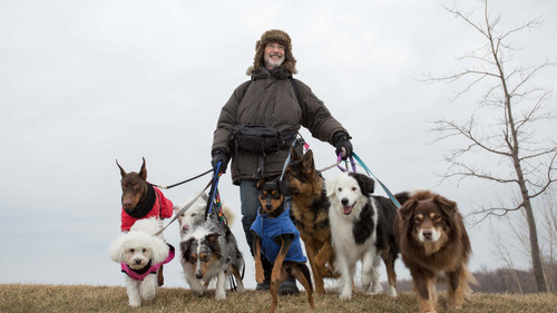 Absturz ins Leben Bild 3