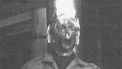 Die toten Fische Bild 1