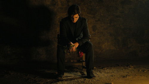 Ode to Passion Bild 4