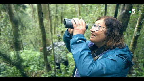 Ivohiboro, la forêt oubliée Bild 4
