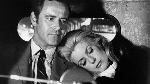 Ein Frosch in Manhattan Bild 2