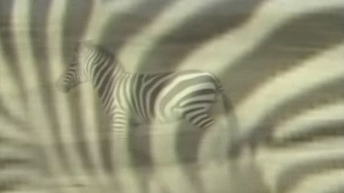 アフリカ動物パズル Bild 3