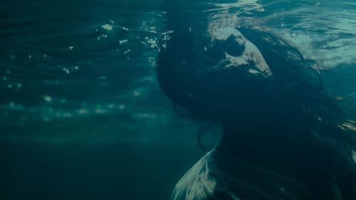 Bodies in the Water Bild 3