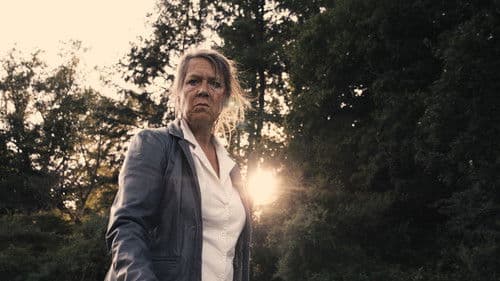 In Media Veritas Bild 4