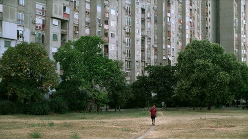 Linije želje Bild 4