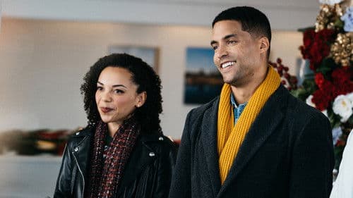 Snowbound for Christmas Bild 4