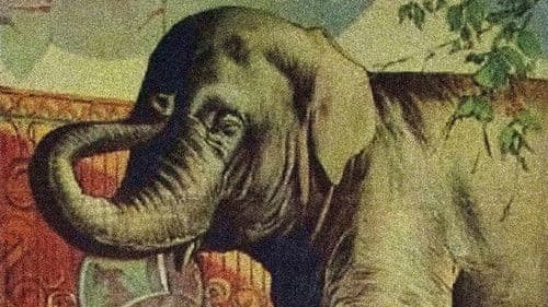 Remember When? Bild 1