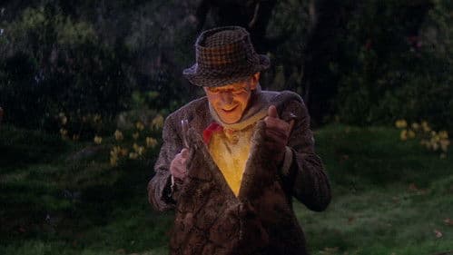 Der goldene Regenbogen Bild 3