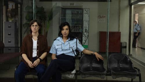 כביש הסרגל Bild 4