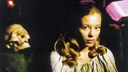 Die verzauberte Anicka Bild 1