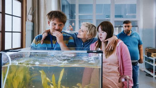 Die Goldfische Bild 3