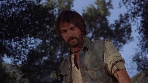 Die auf heißen Öfen verrecken Bild 8