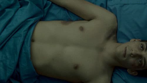 Toda la fe en mí Bild 3