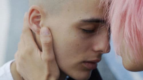 Beware of Dog Bild 1