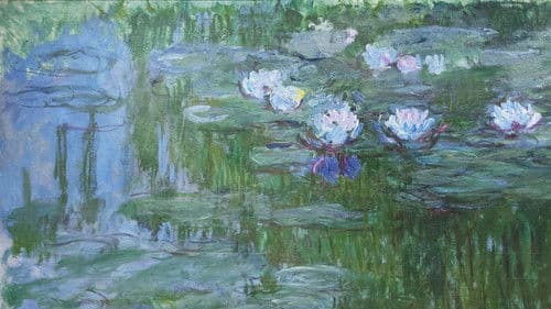 Le ninfee di Monet Bild 2